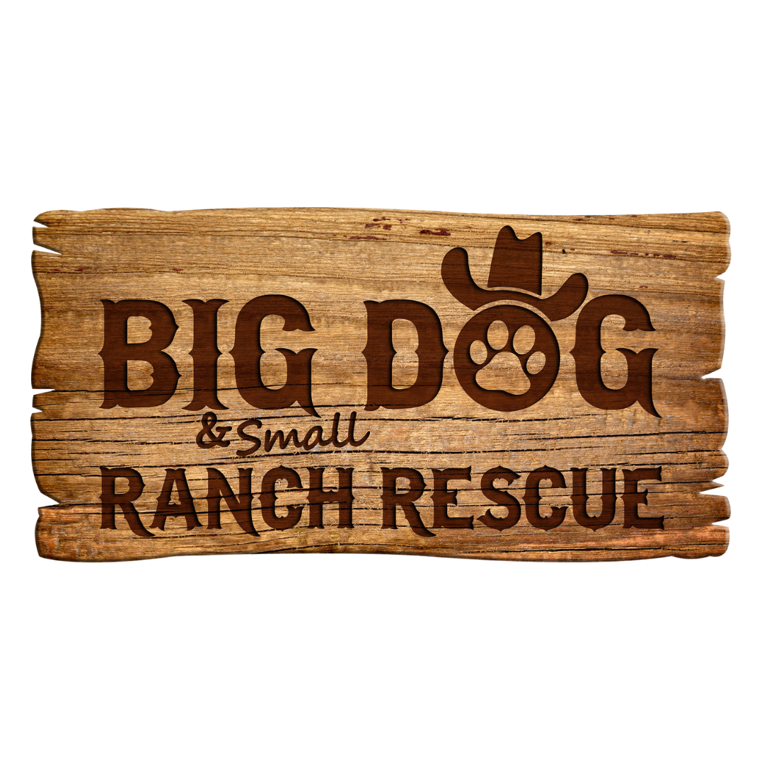 Big & Small Dog ranch Rescue